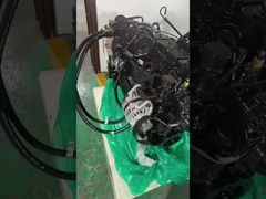 1998 Dodge para Cummins 12 24 válvula 5.9 Kit de reconstrucción del motor de Cummins